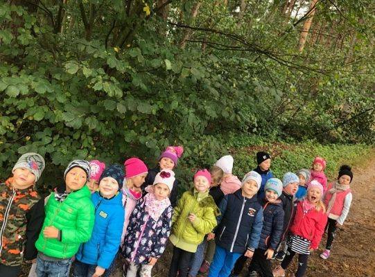 Grupa 0 A szuka skarbów jesieni