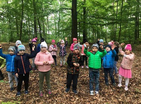 Grupa 0 A szuka skarbów jesieni