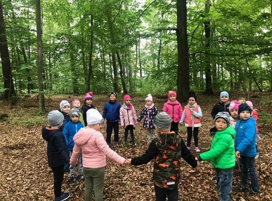 Grupa 0 A szuka skarbów jesieni