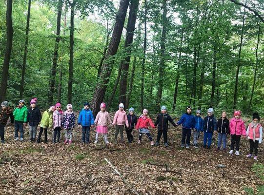 Grupa 0 A szuka skarbów jesieni