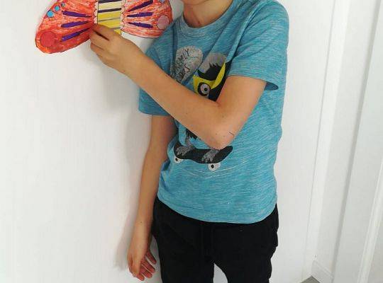 MALI ARTYŚCI: motylki i zajączki / praca zdalna