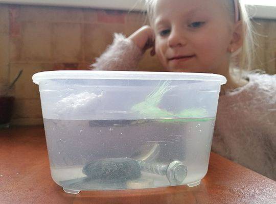 KREATYWNIE w domu/ praca zdalna :)