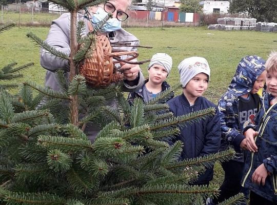 TROCHĘ SZYSZEK, TRAWY, SŁOMEK...BĘDZIE DOMEK DLA BIEDRONEK