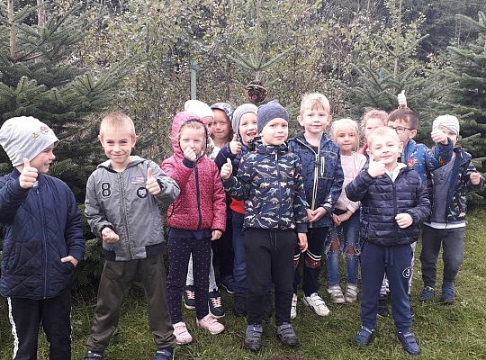 TROCHĘ SZYSZEK, TRAWY, SŁOMEK...BĘDZIE DOMEK DLA BIEDRONEK