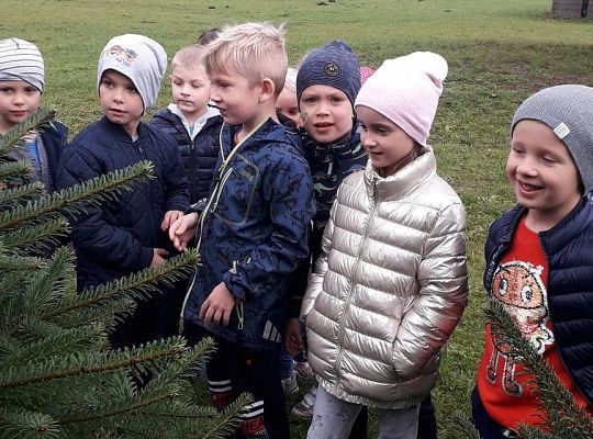 TROCHĘ SZYSZEK, TRAWY, SŁOMEK...BĘDZIE DOMEK DLA BIEDRONEK