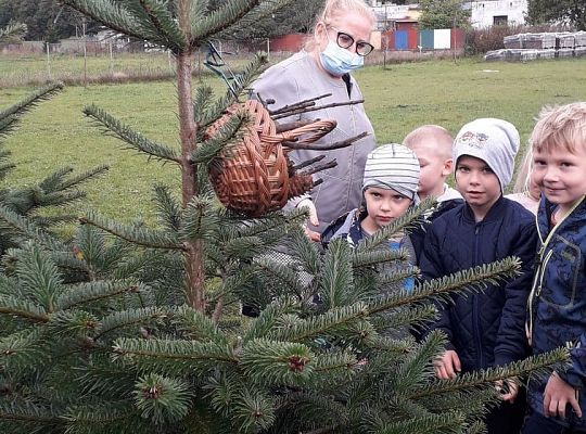 TROCHĘ SZYSZEK, TRAWY, SŁOMEK...BĘDZIE DOMEK DLA BIEDRONEK