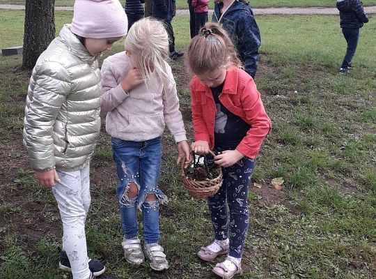 TROCHĘ SZYSZEK, TRAWY, SŁOMEK...BĘDZIE DOMEK DLA BIEDRONEK