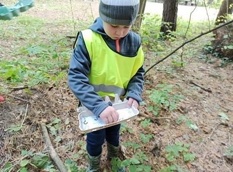 W poszukiwaniu skarbów lasu...
