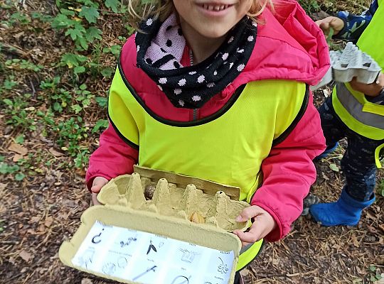 W poszukiwaniu skarbów lasu...