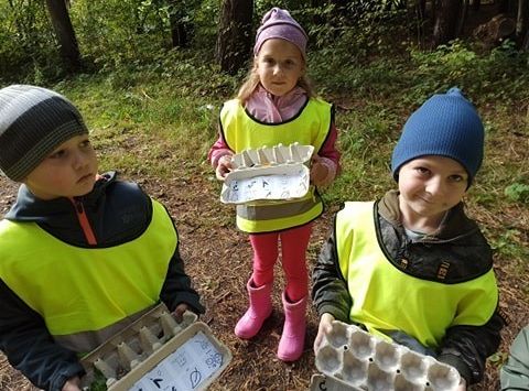 W poszukiwaniu skarbów lasu...