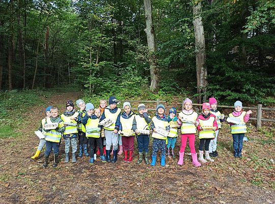 W poszukiwaniu skarbów lasu...