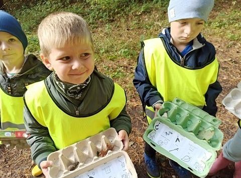 W poszukiwaniu skarbów lasu...