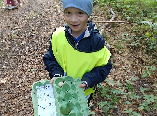 W poszukiwaniu skarbów lasu...