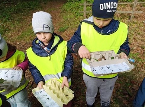 W poszukiwaniu skarbów lasu...