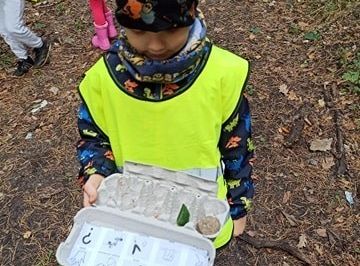 W poszukiwaniu skarbów lasu...