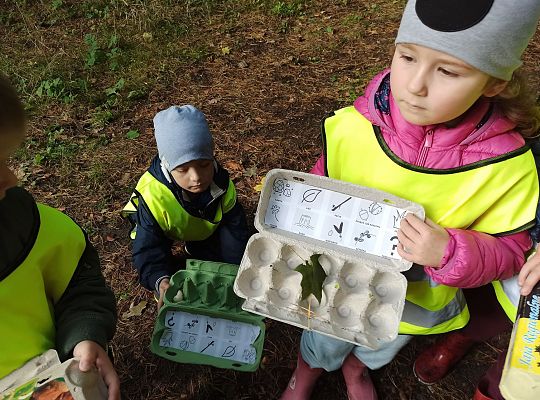 W poszukiwaniu skarbów lasu...