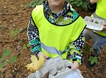 W poszukiwaniu skarbów lasu...