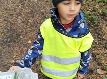 W poszukiwaniu skarbów lasu...