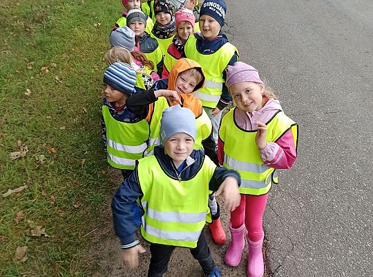 W poszukiwaniu skarbów lasu...