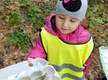 W poszukiwaniu skarbów lasu...