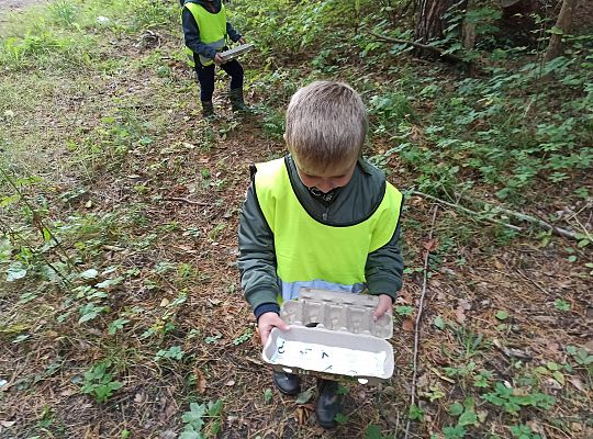 W poszukiwaniu skarbów lasu...