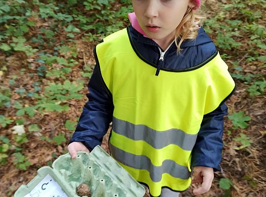 W poszukiwaniu skarbów lasu...