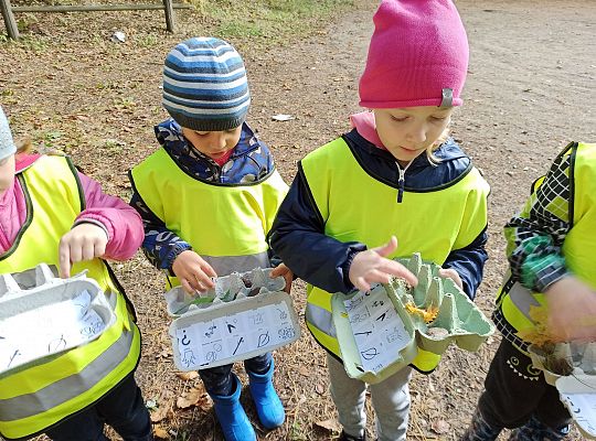 W poszukiwaniu skarbów lasu...
