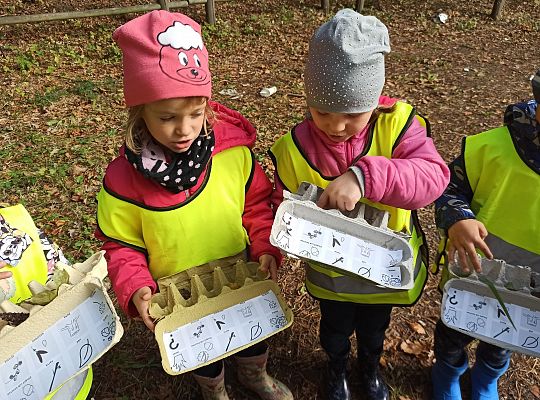 W poszukiwaniu skarbów lasu...