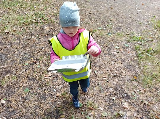 W poszukiwaniu skarbów lasu...