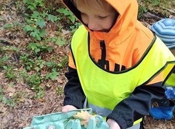 W poszukiwaniu skarbów lasu...