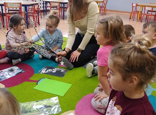 Wiosna w Naszym Przedszkolu