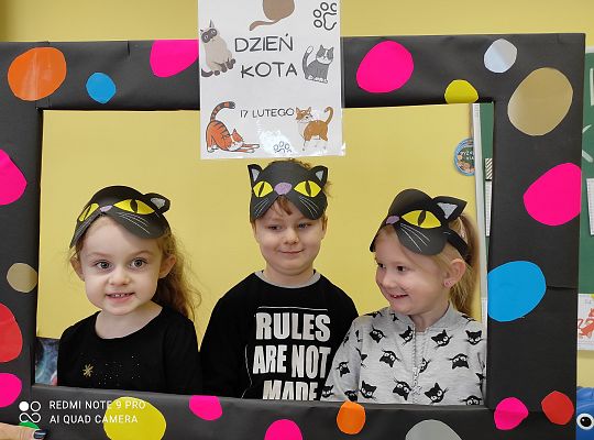 Dzień kota