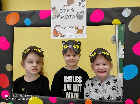 Dzień kota
