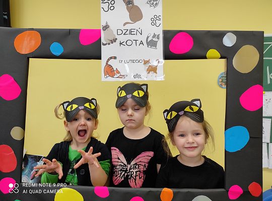 Dzień kota
