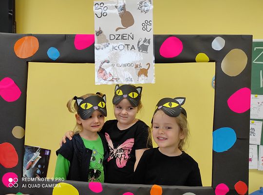 Dzień kota
