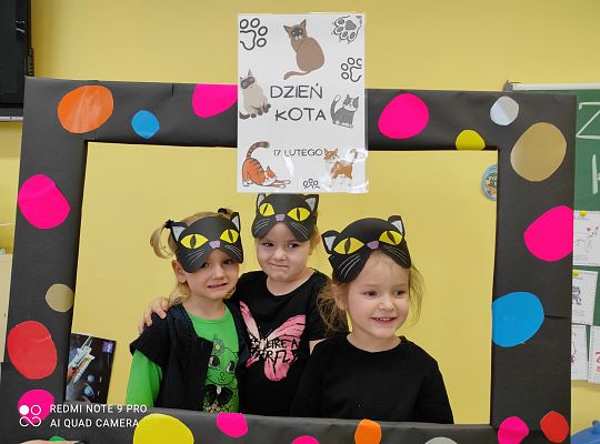 Dzień kota