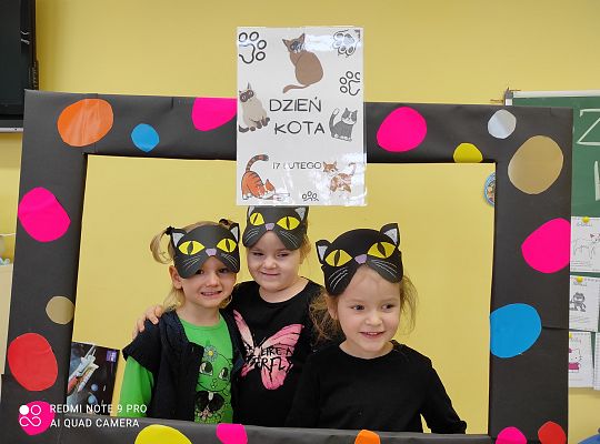 Dzień kota