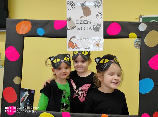 Dzień kota
