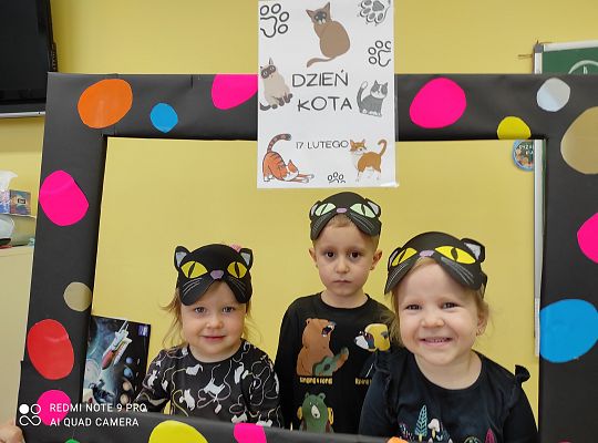 Dzień kota