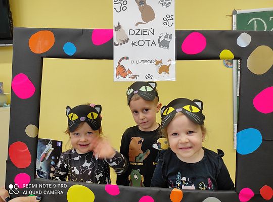 Dzień kota