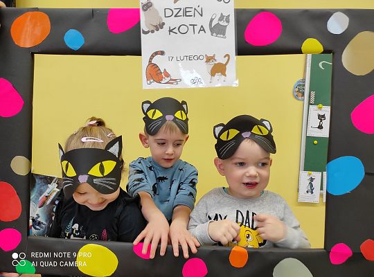 Dzień kota