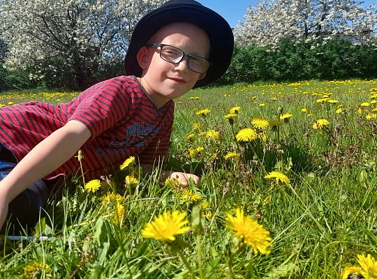 ŚWIĘTUJEMY DZIEŃ MAMY I TATY
