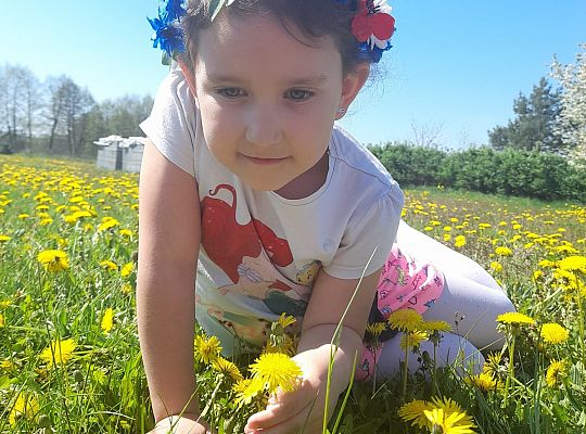 ŚWIĘTUJEMY DZIEŃ MAMY I TATY