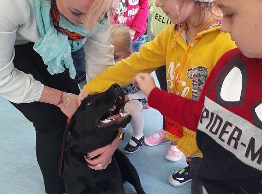 Ratownicy na czterech łąpach