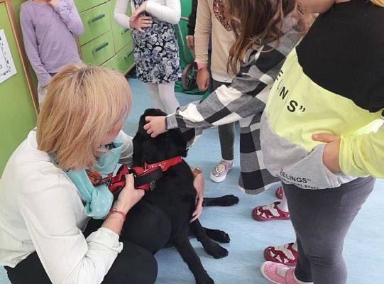 Ratownicy na czterech łąpach