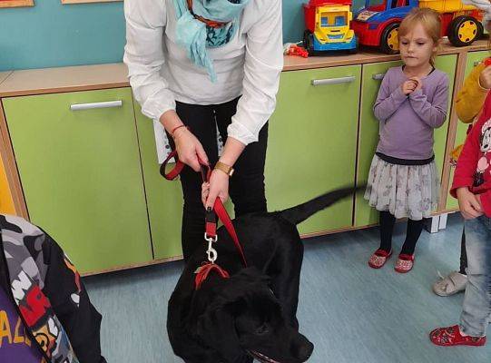 Ratownicy na czterech łąpach