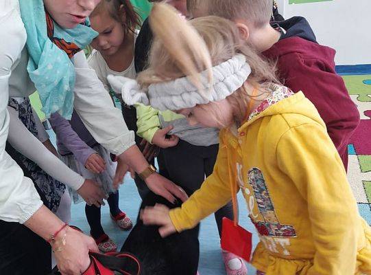 Ratownicy na czterech łąpach