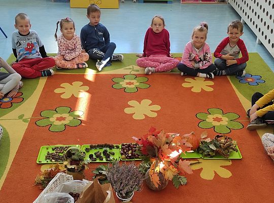 Nadeszła jesień...