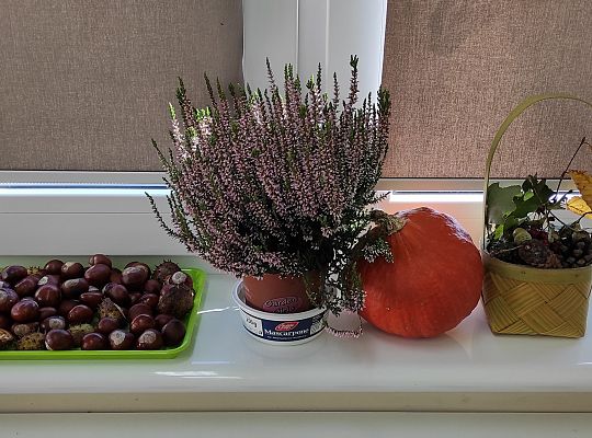 Nadeszła jesień...